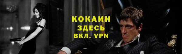 дмт Заволжск