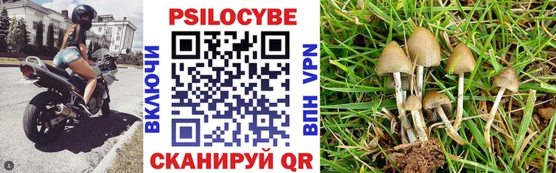 наркота  OMG маркетплейс  Галлюциногенные грибы прущие грибы  Инсар 