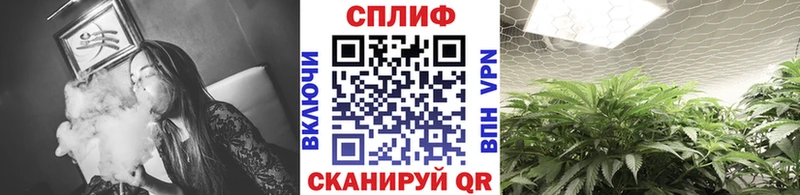 купить закладку Инсар Бошки марихуана AK-47